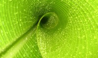 世界斯诺克巡回赛：明年起或将在亚洲增设更多排名赛，奖金同步上调。