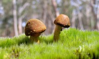 世界体操团体赛赛场康复与心理支持示范中心第三批城市启动，世界体操大赛包括