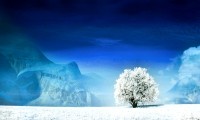 世界体操单项赛赛后康复教材进基层体育院校，世界体操协会官网