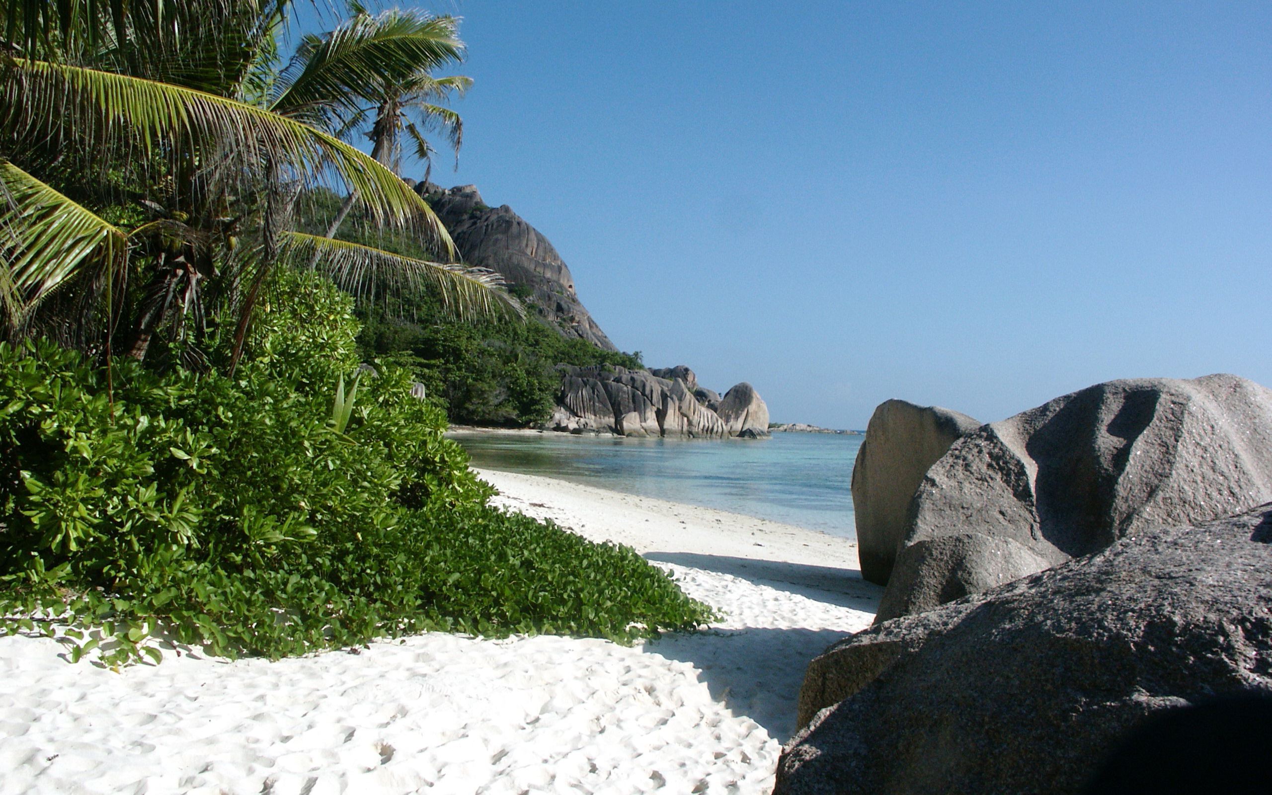 世界拳击联盟裁判改革草案公布，世界拳击大赛冠军